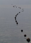 Nikon D100 
Nikkor 28-80mm f/3.5-5.6 AF-D (80mm)
1/400 sec - f/10
ISO 200