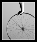 Linee di Niente Linee di Niente