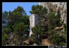 La torre tra i pini La torre tra i pini