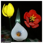 FIORI ETERNI FIORI ETERNI