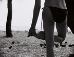on the beach on the beach