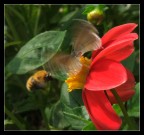 Arrivi e Partenze Arrivi e Partenze