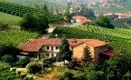 Tra i vigneti di barolo e barbaresco
un'oasi di pace e di tranquillit