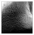 I SEGNI DEL TEMPO I SEGNI DEL TEMPO