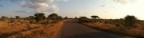 kruger park kruger park