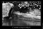 L'abbeveratoio L'abbeveratoio