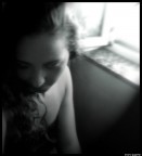 to the window to the window