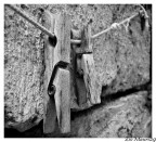 ..Insieme.. ..Insieme..