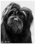Black & white - Darkino Black & white - Darkino