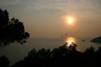 Tramonto Elbano 1 Tramonto Elbano 1