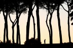 Silhouette Silhouette