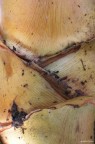 Textures Textures