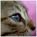 Riflessioni Riflessioni