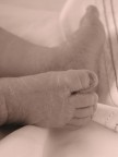 piedi piedi