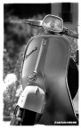 la Vespa... la Vespa...