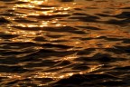 acqua acqua