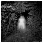 La sposa (dall'ultimo contest) La sposa (dall'ultimo contest)