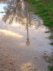 Riflessi Riflessi