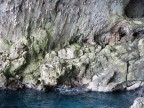 Un'altra immagine di una parete rocciosa ripresa dall'interno della grotta Zinzulusa di Castro