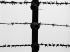 Mauthausen.... per non dimanticare Mauthausen.... per non dimanticare