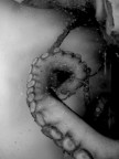 Octopus_vortice Octopus_vortice