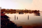 lesina lesina