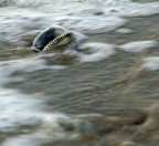 In balia dell'onda In balia dell'onda