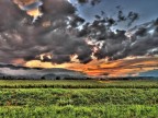 Bientina HDR Bientina HDR