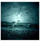 Confused Spirits Confused Spirits