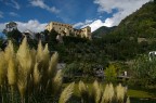 I giardini di Castel Trauttmansdorff (Merano) I giardini di Castel Trauttmansdorff (Merano)
