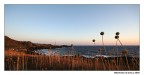 Faro al tramonto Faro al tramonto
