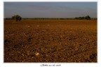 Terra rossa Terra rossa