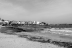 Il mare si ripulisce ... Il mare si ripulisce ...