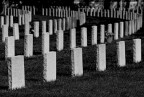 Uno stupido gioco di domino Uno stupido gioco di domino