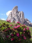 La natura incantevole che si trova salendo dal Passo Giau verso le torri Ampezzane.
Minolta F100