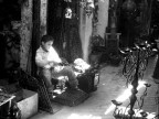 si comincia da piccoli... si comincia da piccoli...