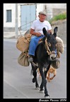 E' l'ultimo vecchietto rimasto in paese a possedere ancora un asinello per andare in campagna a lavorare! Erano giorni che lo cercavo per immortalarlo e finalmente ce l'ho fatta!!!

Suggerimenti e critiche sono sempre ben accetti...