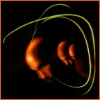 zoom in...me zoom in...me