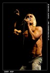 Iggy Pop Iggy Pop