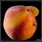 Testa di Pesca Testa di Pesca