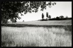paesaggio bn1