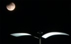 La luna e il gabbiano La luna e il gabbiano