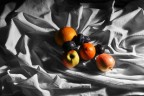 Panneggio in Still Life Panneggio in Still Life
