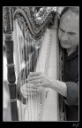 Suonatore di arpa Suonatore di arpa