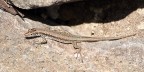 mi scaldo al sole