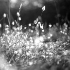 Il tempo se ne va... Il tempo se ne va...