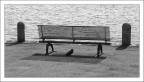 "stiamo nel centro" "stiamo nel centro"