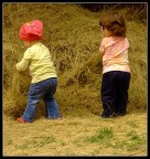 Le contadinelle Le contadinelle