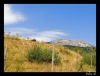 Pollino Pollino
