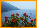 Positano Positano